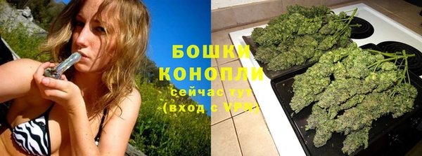 apvp Лиски