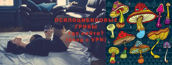 дживик Липки