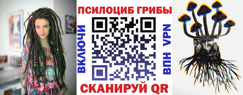 Псилоцибиновые грибы Psilocybine cubensis Майский
